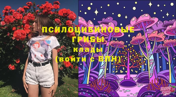 mdma Галич