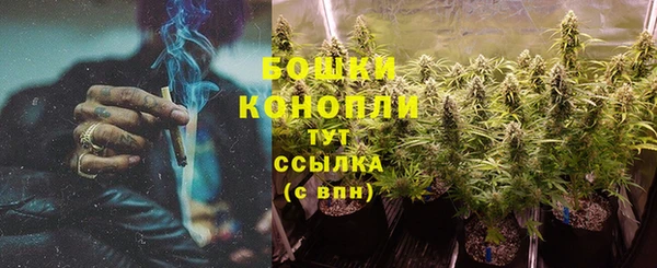PSILOCYBIN Осинники