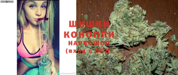 крисы Пестово