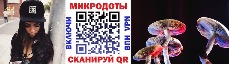 Псилоцибиновые грибы прущие грибы Порхов